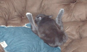 Ender acrobatics