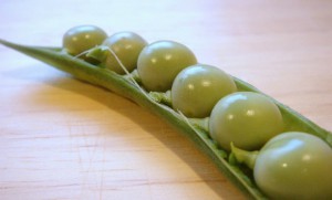 Peas in a pod