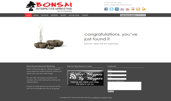 Bonsai Interactive Marketing